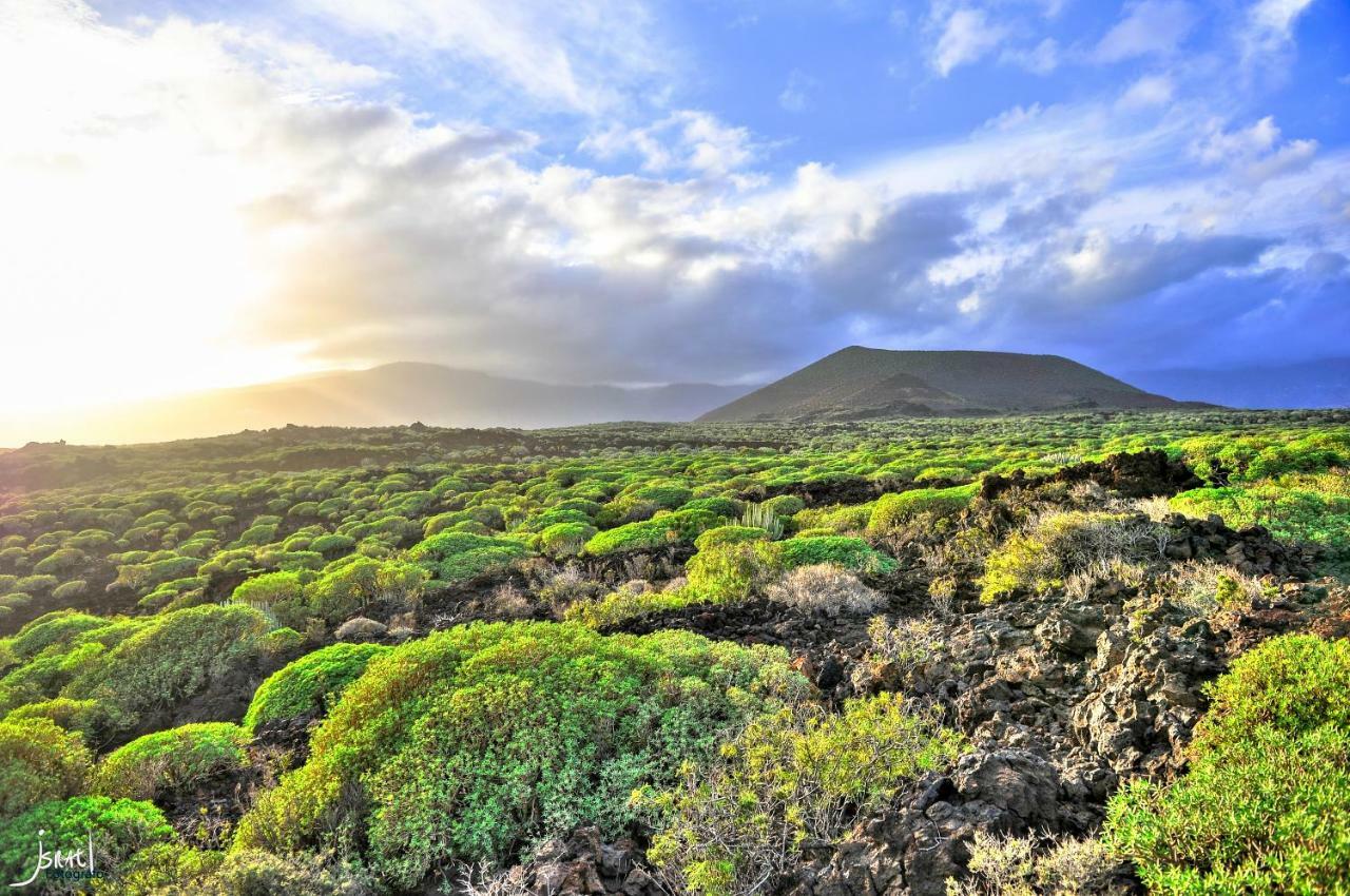 Naturaleza Viva El Socorro Exterior foto